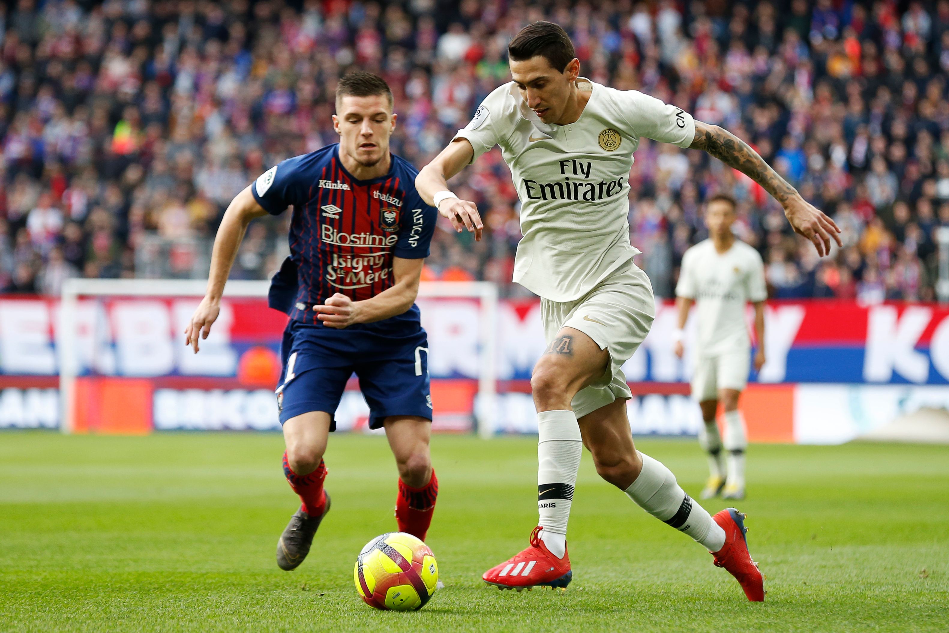 田子羿告别梅州客家：感恩，感谢，祝安好HAKKA（田子羿与梅州客家缘尽：心怀感激，祝福Hakka一切安好）